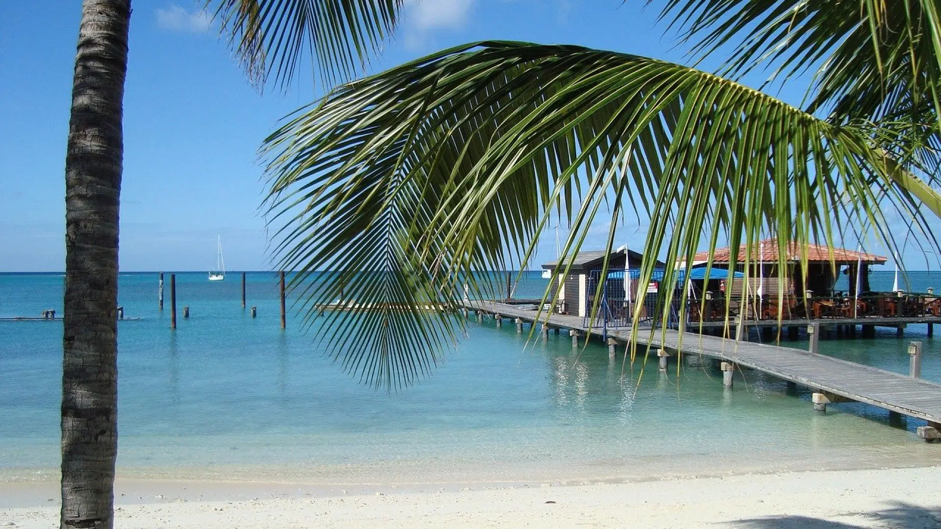 Opter pour un voyage en famille à Punta Cana pendant ses vacances : quels avantages ?